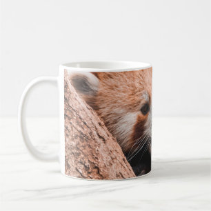 MUG CUTE KOALA BEAR FAMILLE