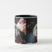 Mug Cute lhasa apso puppy at (Centre)