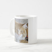 Mug Cute Maine Coon Kitten Gros plan Photo (Devant gauche)