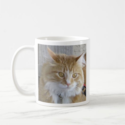 Mug Cute Maine Coon Kitten Gros plan Photo (Gauche)