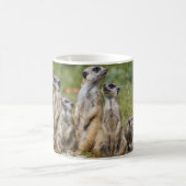Mug Cute Meerkats (Centre)