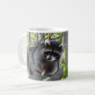 Mug Cute Raccoon