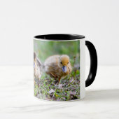Mug Cute Triplet Muscovy Ducklings Courir (Devant droit)