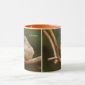 Mug Cute Zebra Finch Songbird Assis Joli (Centre)