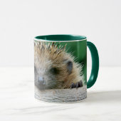 Mug Cutest Baby Animals | Hedgehog Smile (Devant droit)