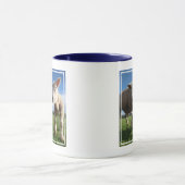 Mug Cutest Baby Animals | Newborn Lamb & Mama (Centre)