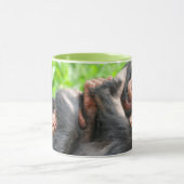 Mug Cutest Baby Animals | Two Young Chimpanzees (Centre)