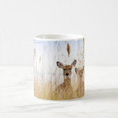 Mug Cutest Baby Animals | Two Young White Tailed Deer (Centre)