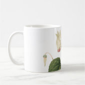 Mug cyclamen(Cyclamen sp.) par Redouté (Gauche)