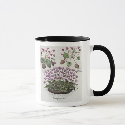 Mug Cyclamen : hederaceis de foliis du serotinum (Droite)
