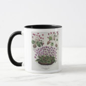 Mug Cyclamen : hederaceis de foliis du serotinum (Gauche)