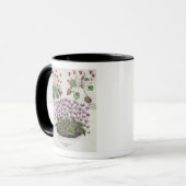 Mug Cyclamen : hederaceis de foliis du serotinum (Devant gauche)