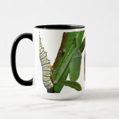 MUG CYCLE DE VIE DE MONARQUE (Gauche)
