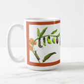 Mug Cycle de vie des papillons monarques (Gauche)