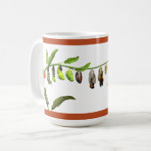 Mug Cycle de vie du papillon monarque (Devant gauche)