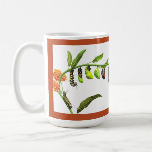 Mug Cycle de vie du papillon monarque