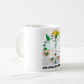 Mug Cycle de vie d'une fleur (angiosperme) (Devant gauche)