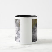 Mug Cyclone tropical Nargis (Centre)