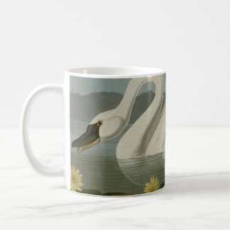Mug Cygne américain commun