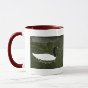 Mug Cygne noir et blanc