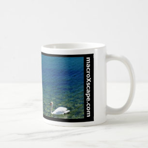 Mug cygne solitaire dans l'océan bleu