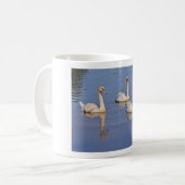 Mug Cygnes muets nageant (Devant gauche)