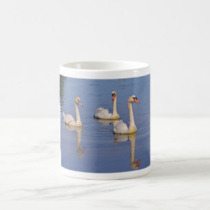 Mug Cygnes muets nageant