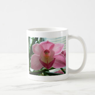 Mug cymbidium rose