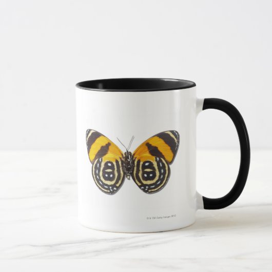 Mug Cynosura de Catagramma (Droite)