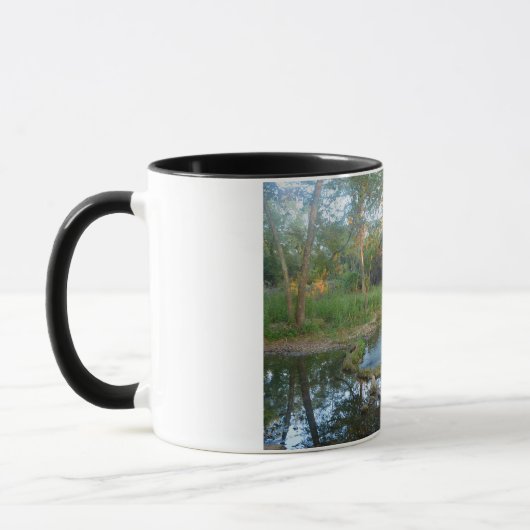 Mug Cypress Creek (Gauche)