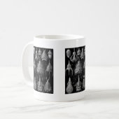 Mug Cyrtoidea (Devant gauche)