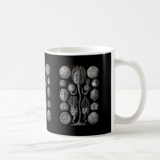 Mug Cystoids (Droite)