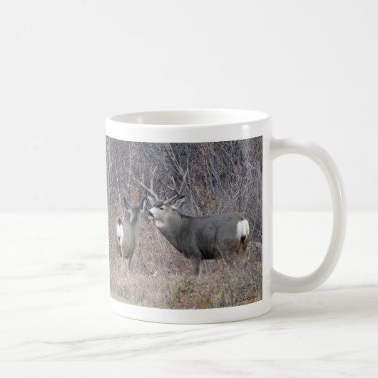 Mug D29 Mule Deer Buck and Doe (Droite)