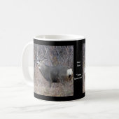 Mug D29 Mule Deer Buck and Doe (Devant gauche)