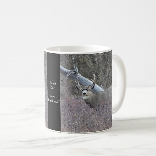 Mug D32 Mule Deer Buck (Devant droit)