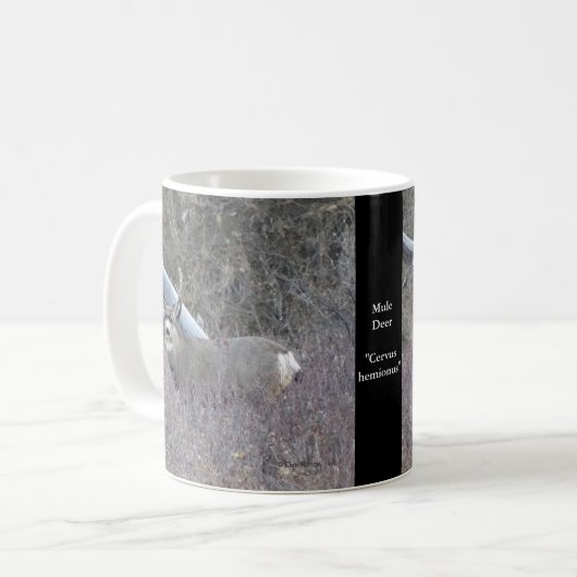 Mug D32 Mule Deer Buck (Devant gauche)