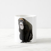 Mug D est pour le singe de De Brazza (Centre)