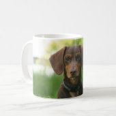 Mug Dachshund (Devant gauche)