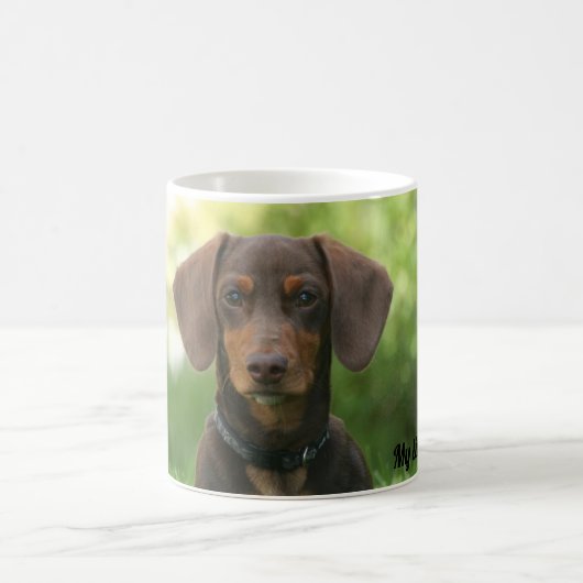 Mug Dachshund (Centre)