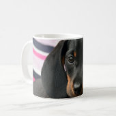 Mug Dachshund Chiot Animaux Canins (Devant gauche)