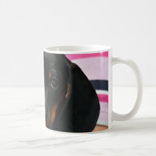 Mug Dachshund Chiot Animaux Canins (Droite)