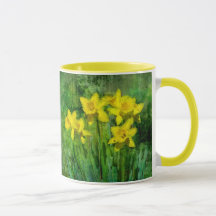 Daffodil