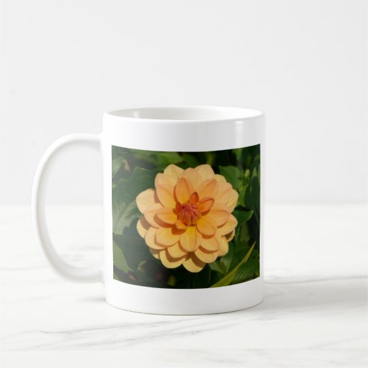 Mug Dahlia 'David Howard' (Gauche)