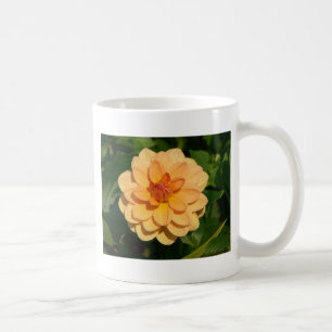 Mug Dahlia 'David Howard'