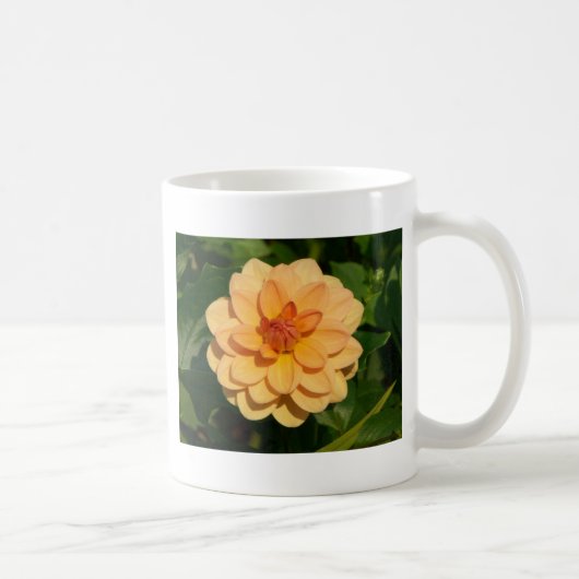 Mug Dahlia 'David Howard' (Droite)