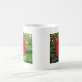 Mug Dahlia - Evêque de Llandaff (Centre)