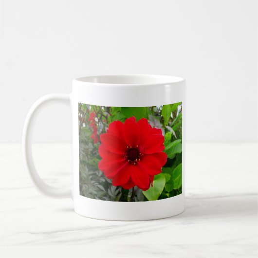Mug Dahlia - Evêque de Llandaff (Gauche)