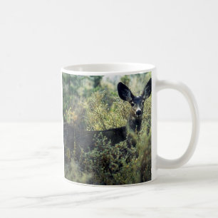 Mug Daine