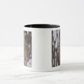 Mug Daine de cerfs communs de Sika et jeune, Hokkaido, (Centre)