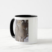 Mug Daine de cerfs communs de Sika et jeune, Hokkaido, (Devant gauche)